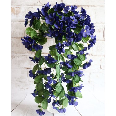 Фиалка ампельная свисающая