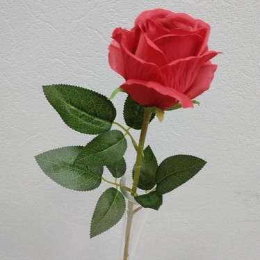 Одиночная роза полураскрытая Ясмин