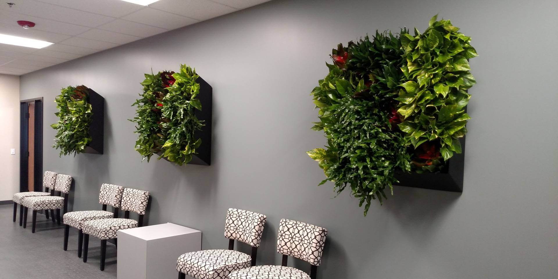искусственные растения в интерьере офиса